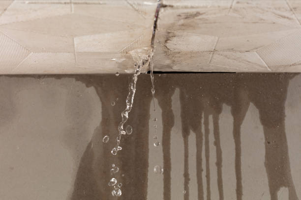 Professional Structural Drying technician working in Salisbury, NY
